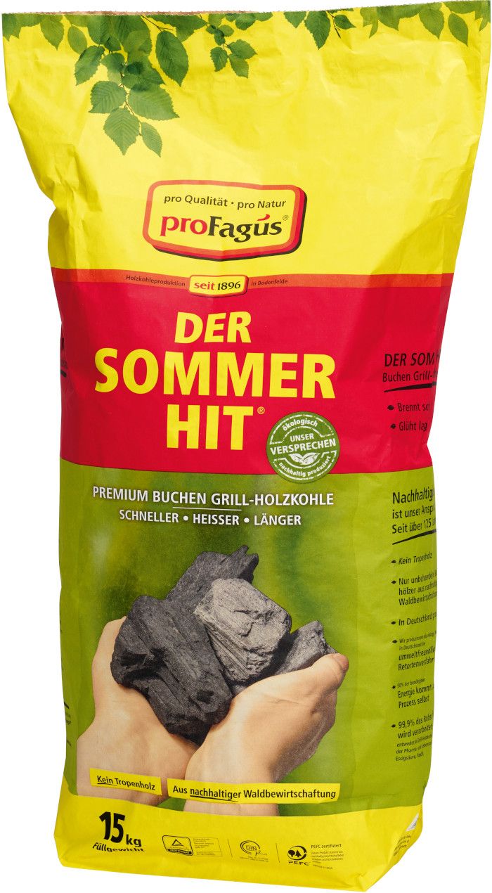 Sommer-Hit Grillholzkohle 15Kg Sommerhit (21Stk.)