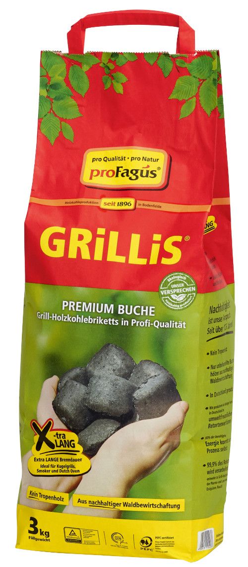 Sommer-Hit Grillis Briquettes 3,0 Kg Sommerhit (182Stk.)