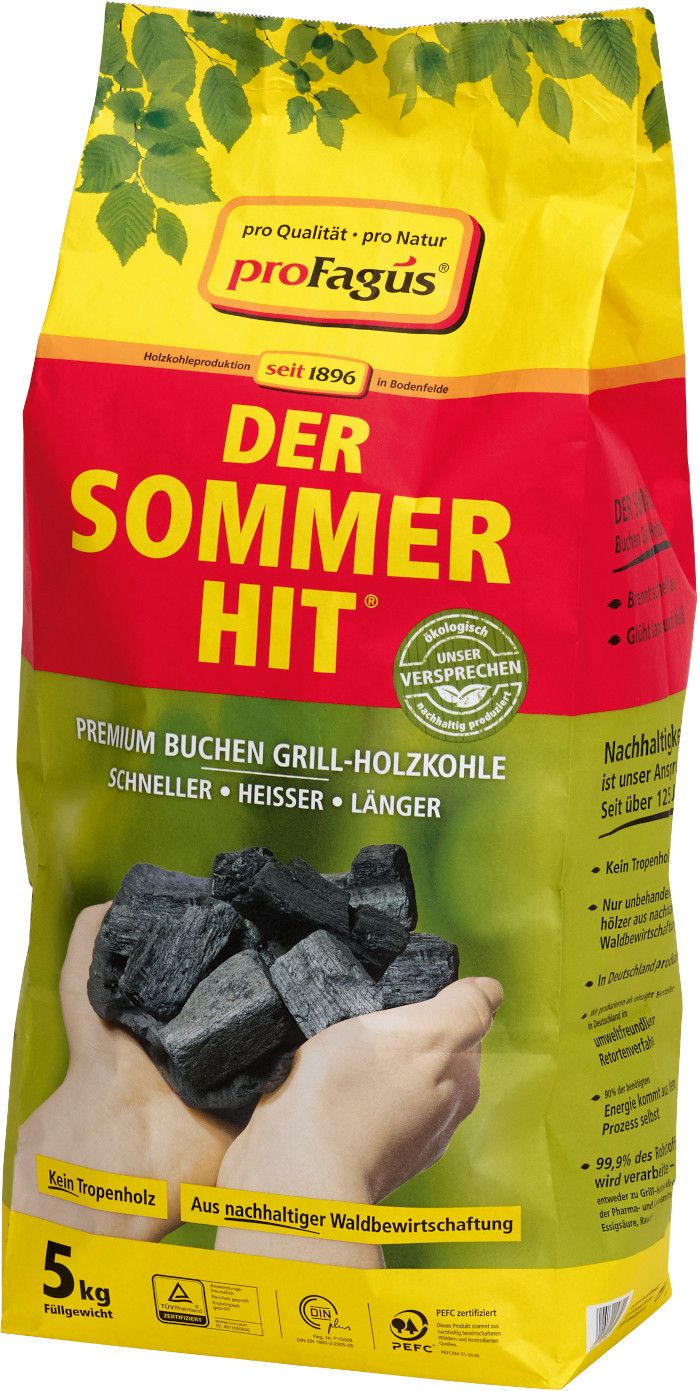 Sommer-Hit Grillholzkohle  5 Kg Aktionsware Sommerhit (66Stk.)