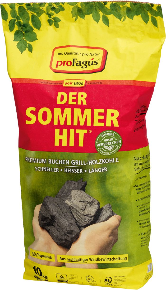 Sommer-Hit Grillholzkohle 10,0 Kg Sommerhit (30Stk.)