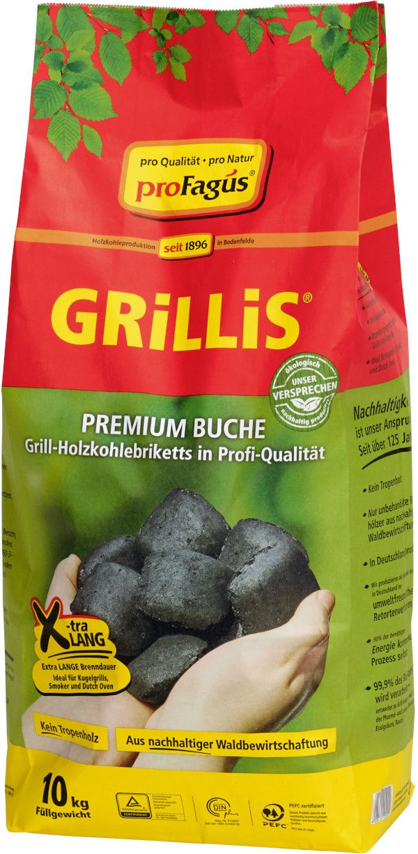 Sommer-Hit Grillis Briquettes 10,0 Kg Sommerhit (60Stk.)